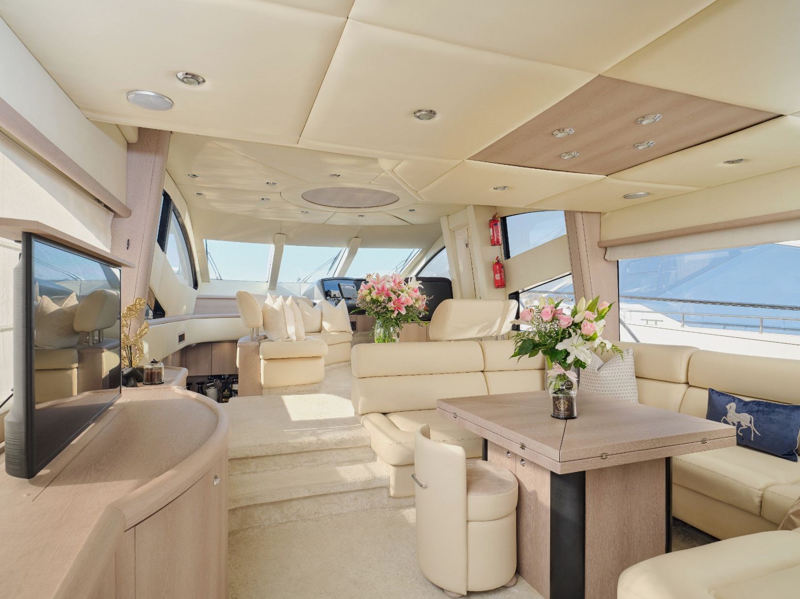 Sunseeker Satoshi: view 6