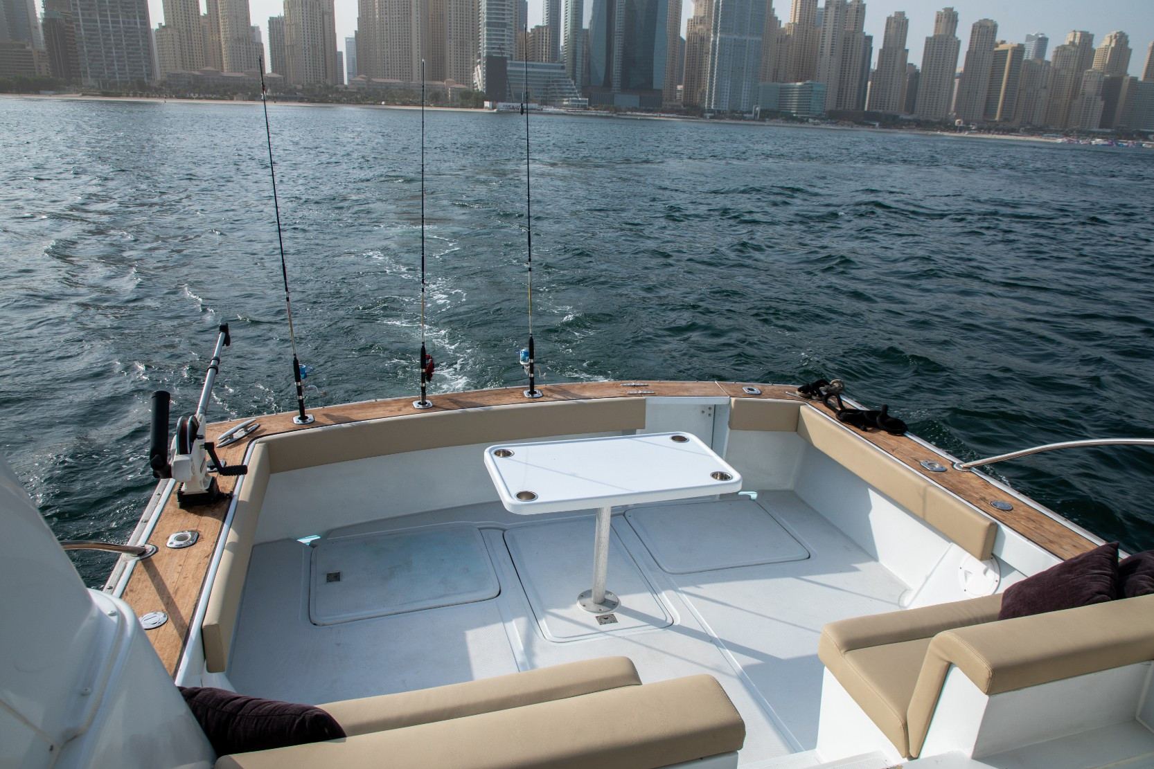 A-Salt Weapon Sport Fishing: view 10